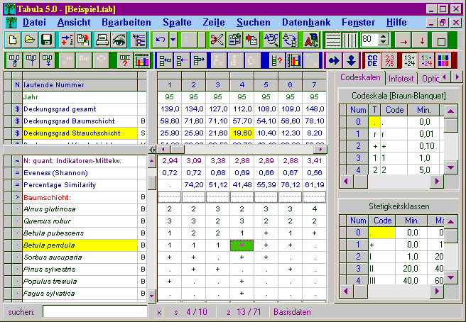 Tabelle in TABULA 5.0